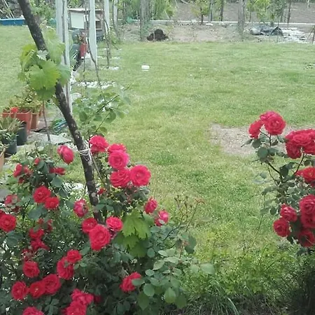 Kulla E Vjeter Guest house Koman