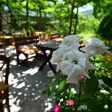 Kulla E Vjeter Koman